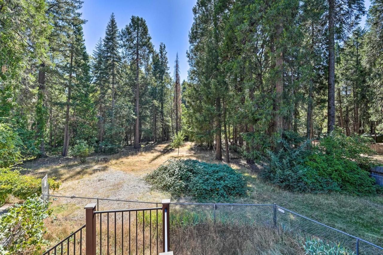 Nevada City Retreat Near Hiking And Yuba River! Exterior photo